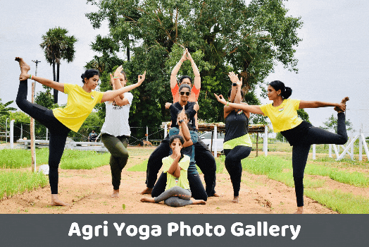 Advanced Online Yoga Classes in Chennai